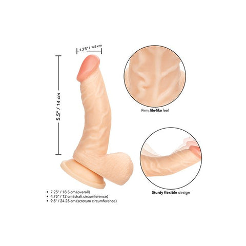 Working Stiff The Doctor Dongs & Dildos