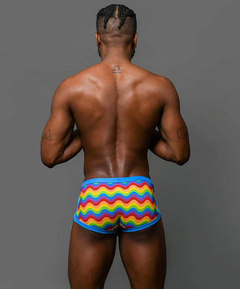Pride Wave Swimwear Menswear