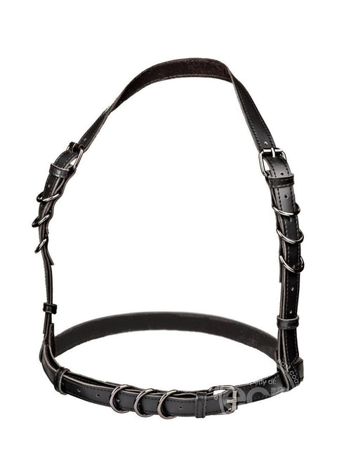 Euphoria Collection Halter Buckle Harness - Black