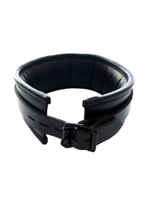 Padded Leather Collar - Black Fetish