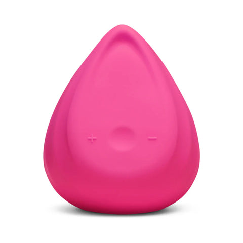 Biird Evii Vibrator Rose Berry Vibrators