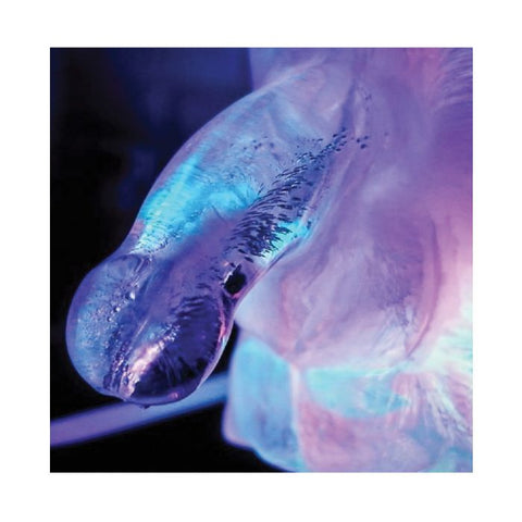 Play Wiv Me Huge Penis Ice Luge Novelty Items