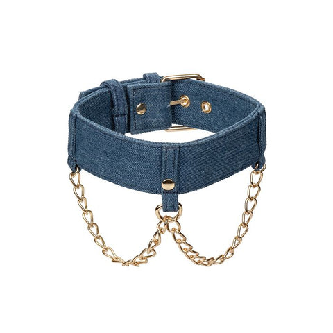 Ride 'Em Premium Denim Collection Collar w/Leash