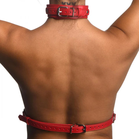 Female Chest Harness