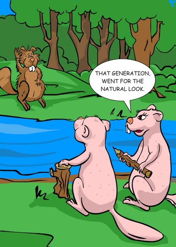 Natural Look Beavers-Funny Adult Birthday Card
