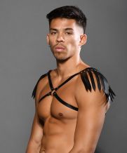 Gladiator Shoulder Harness