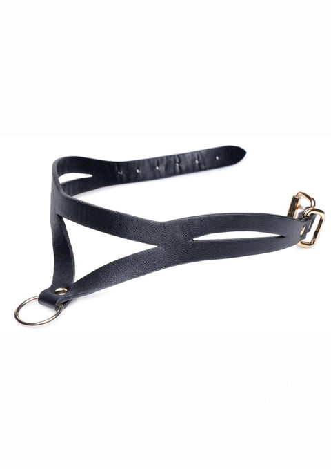 Master Series Bondage Baddie Collar with O-Ring - Black/Gold Bondage & Restraints