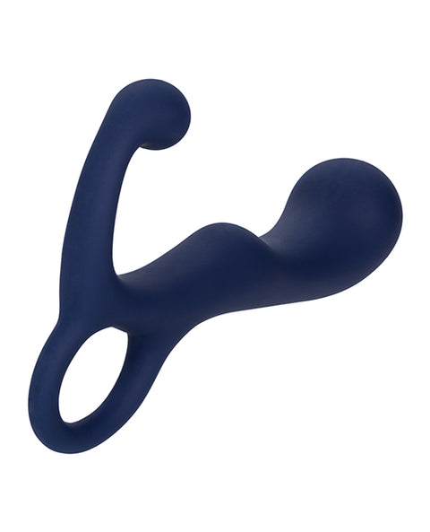 Viceroy Agility Probe - Blue Anal Products