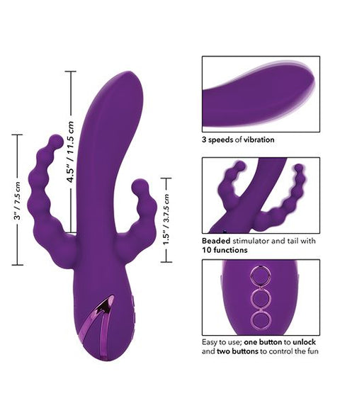 California Dreaming Long Beach Bootylicious - Purple Vibrators