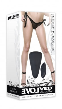 Hidden Pleasure Vibrators