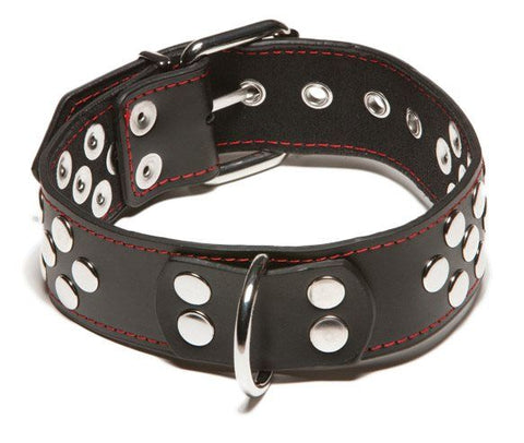 X-Play by Allure Collar with D-Ring